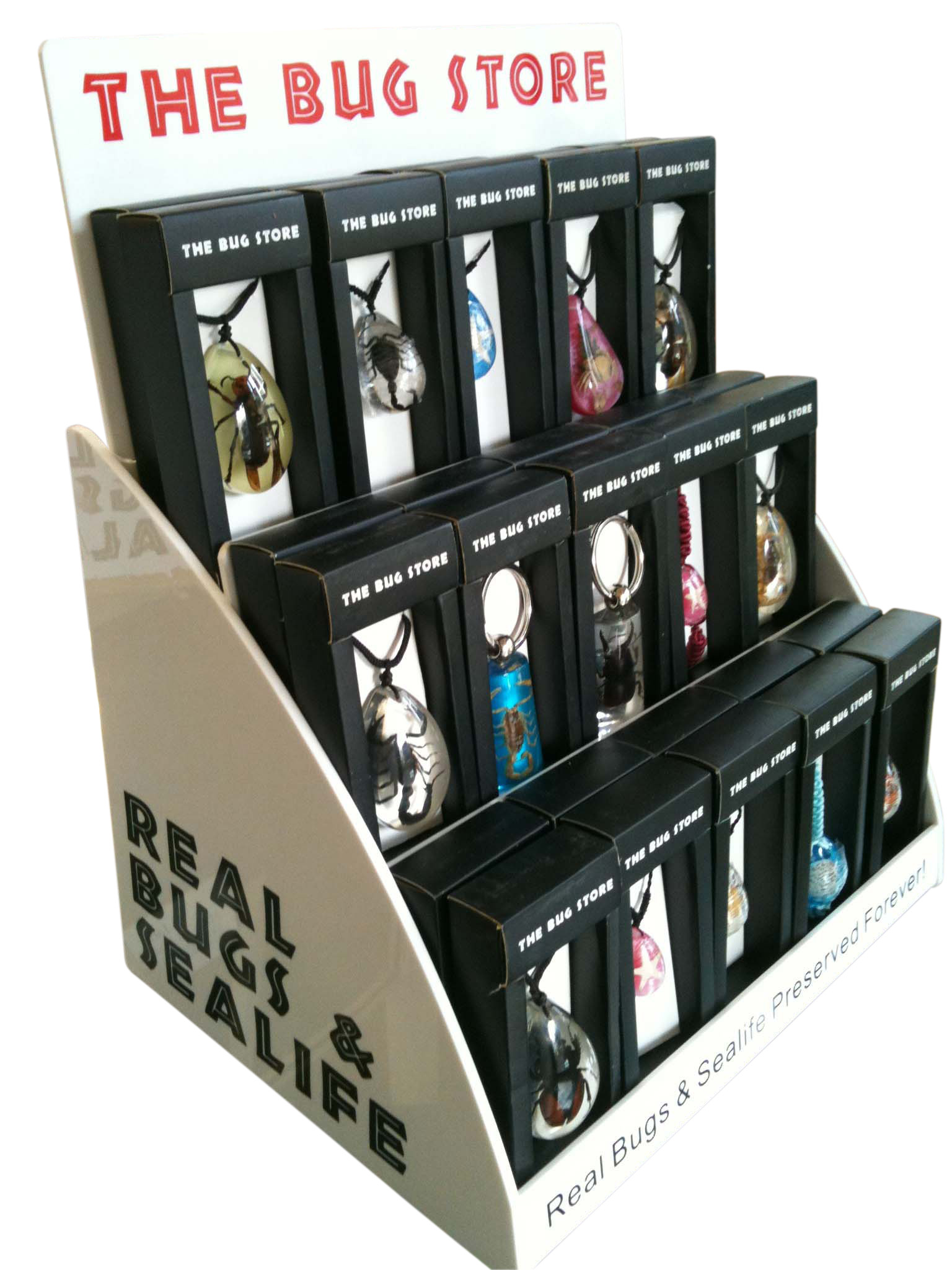 The Bug Store